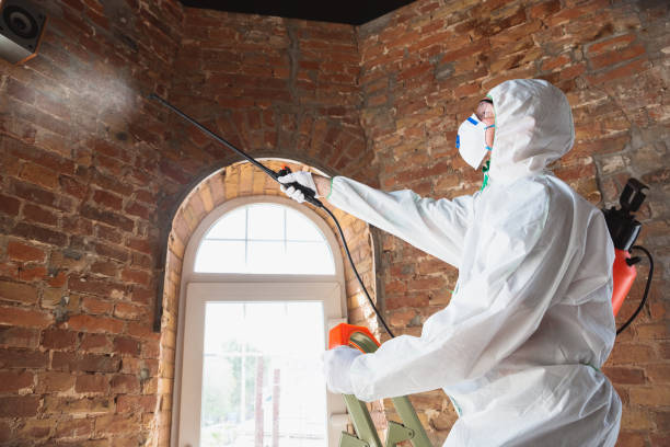 Reliable Bayside Gardens, OR Mold Removal & Remediation Solutions