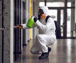 Best Forensic Mold Investigation  in Bayside Gardens, OR